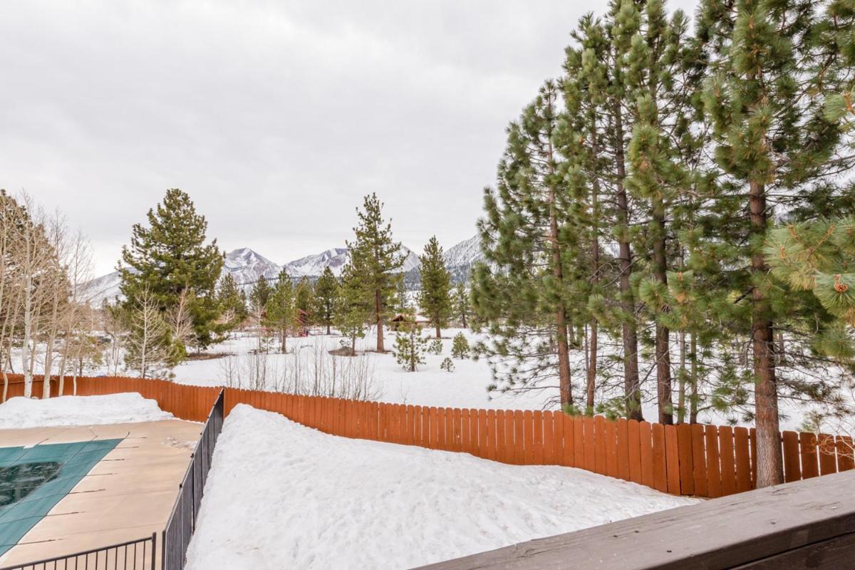 Chateau Blanc 11 Mammoth Lakes Exteriör bild